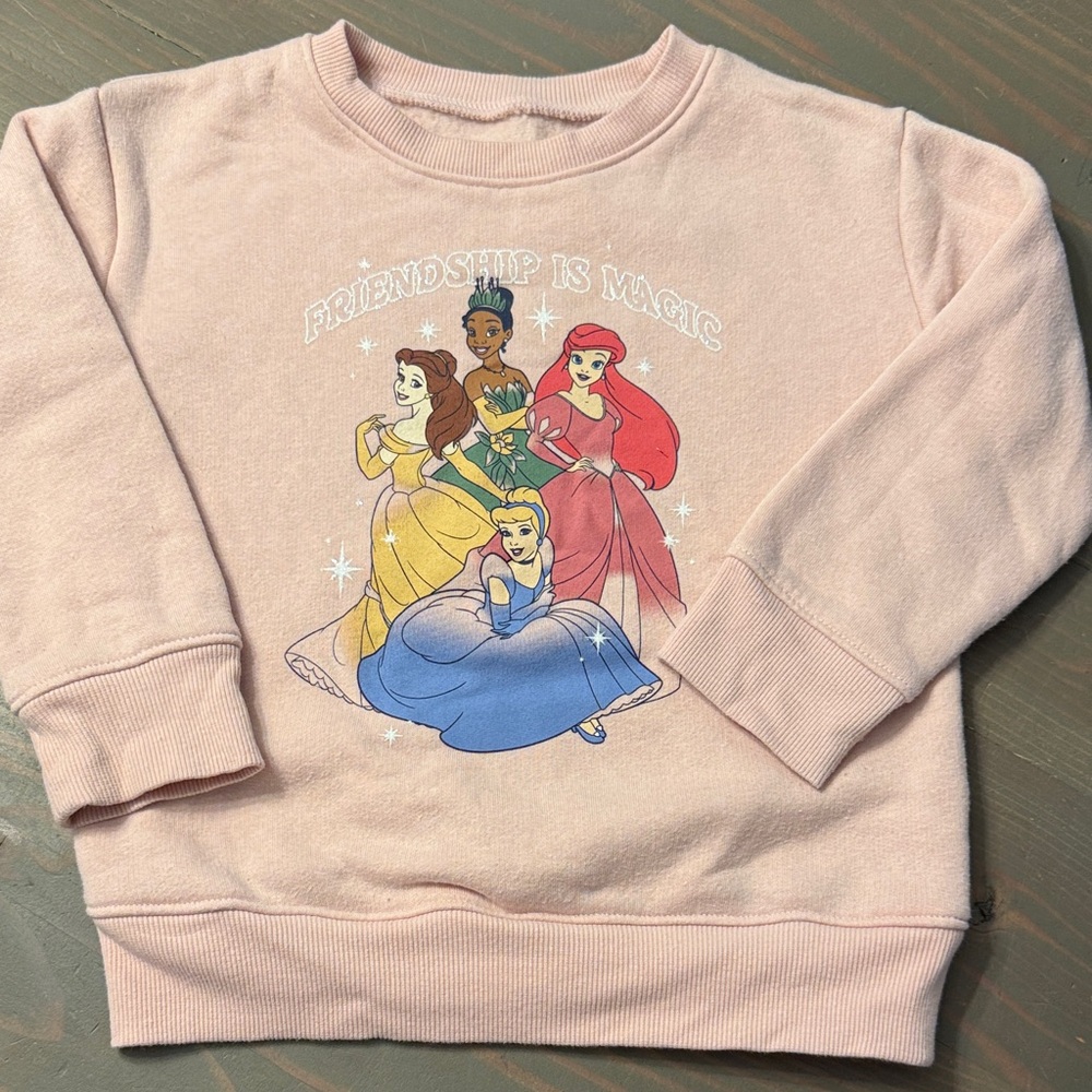 Disney Princess Friendship Pink Sweatshirt